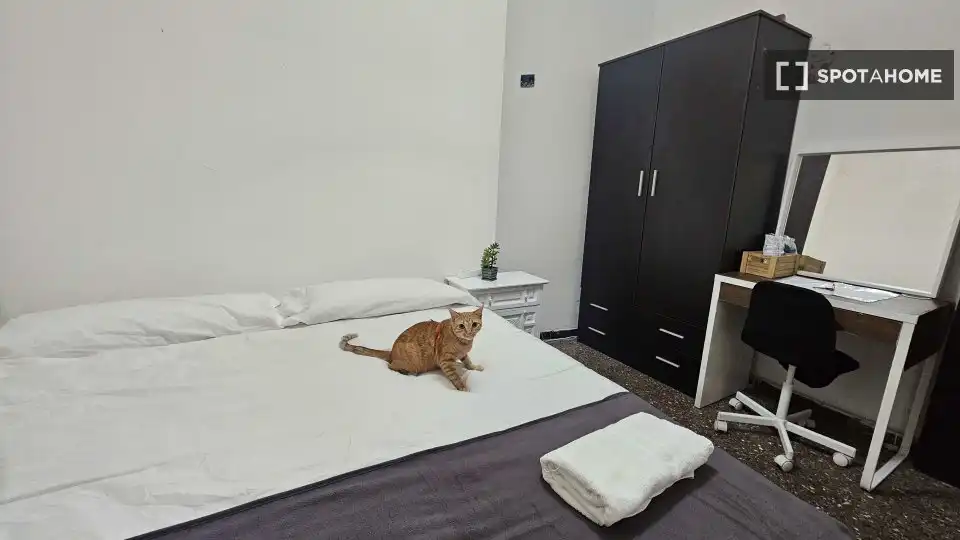 Habitación en Centre