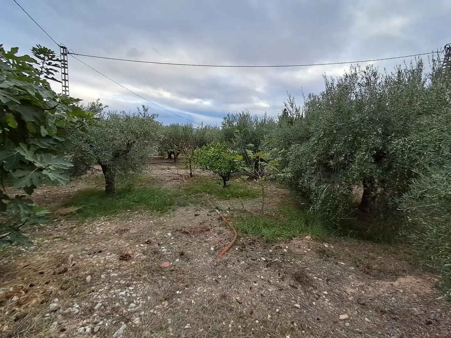 Casa o chalet en venta en Aspe con Jardín privado, Terraza y Trastero