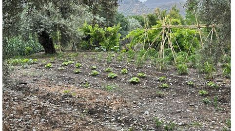 Photo 5 of Country homes for sale in la Solana, Monachil pueblo, Monachil