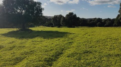 Foto 5 von Country house zur Miete in Medina Sidonia, Cádiz