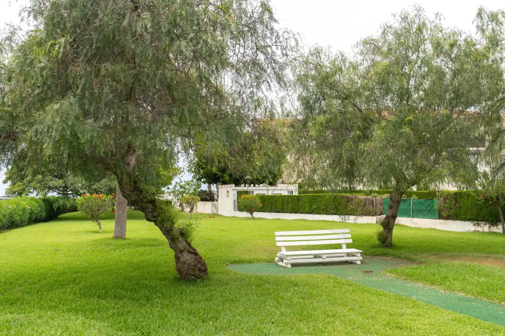 House with terrace for sale in Calle Calle Andrómeda, imagen 28