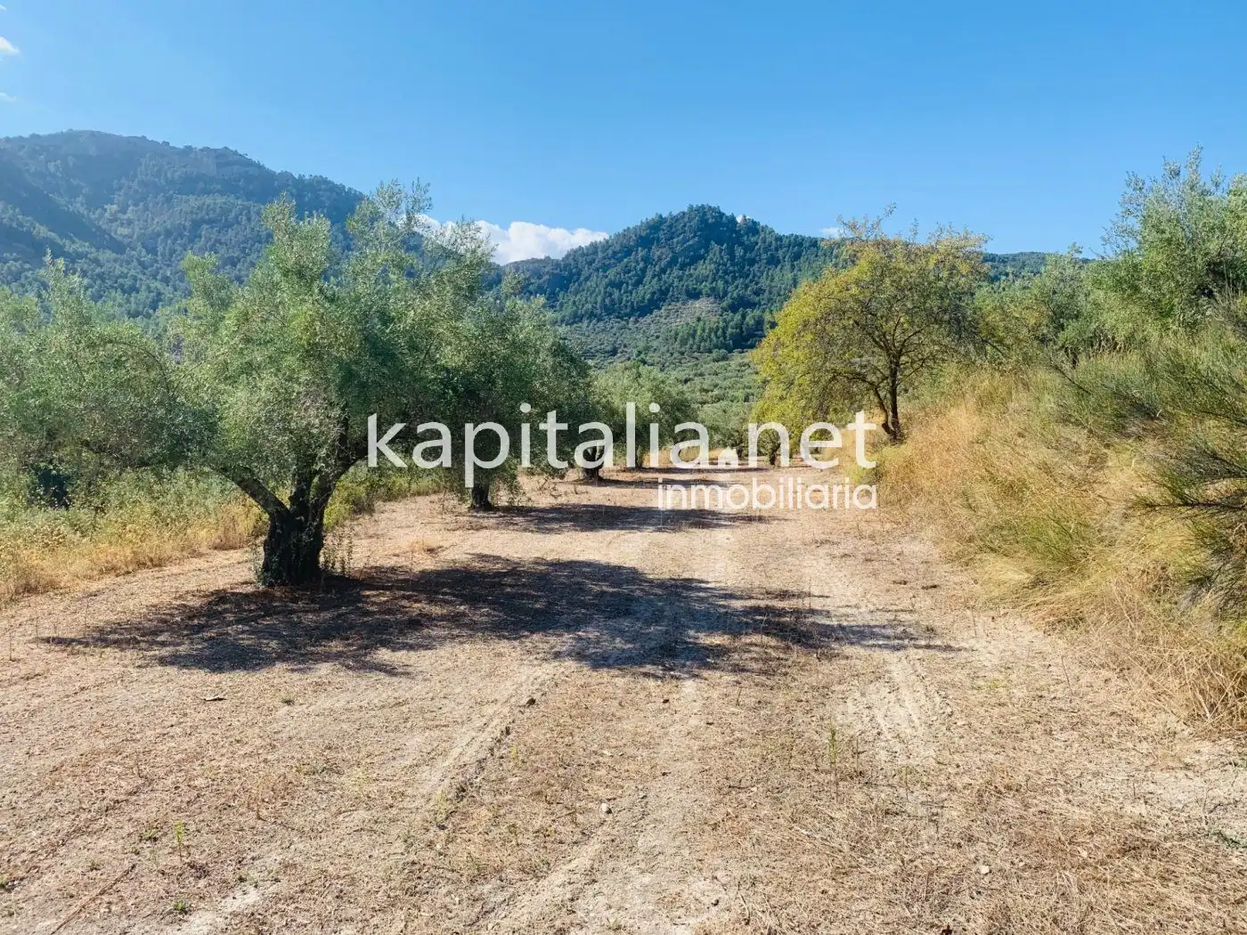 Terreno residencial en venta en Alfafara, imagen 3