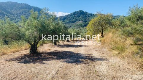 Parcela a la venta en Alfafara., immagine 3