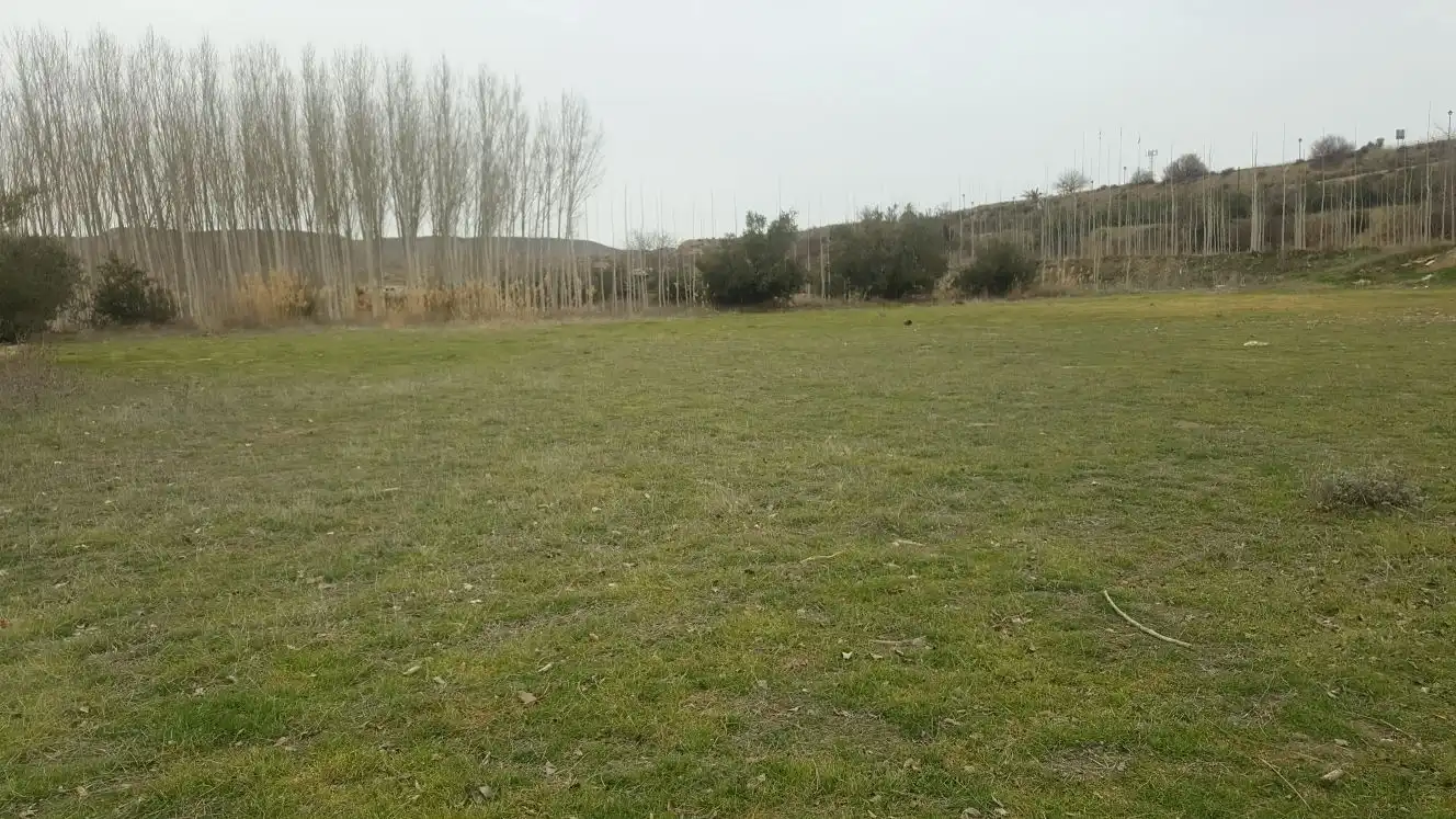 Terreni e lotti in vendita a Purullena, imagen 3