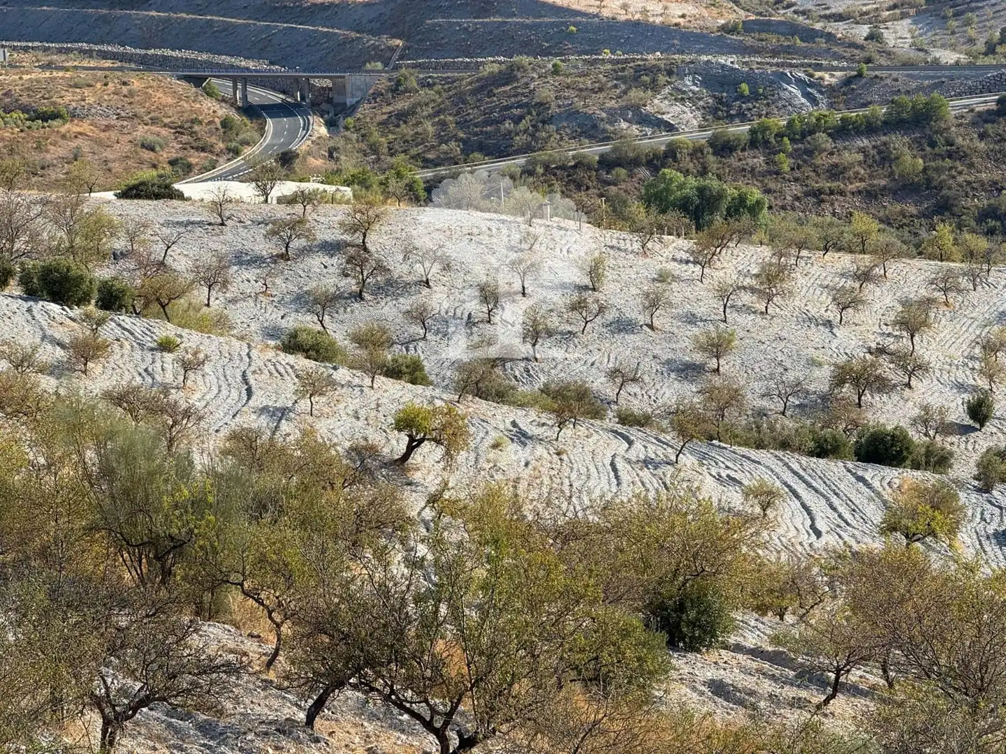 Außenansicht von Grundstücke zum Verkauf in Vélez de Benaudalla