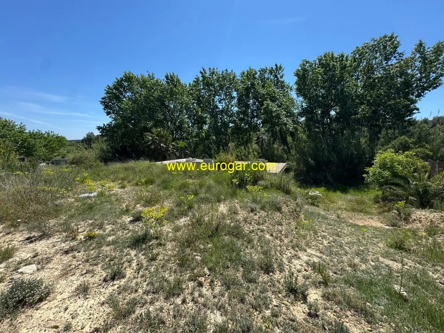Terrain rustique à vendre à Los Felipes - Corral de Carmelo, imagen 5