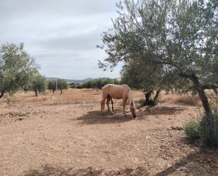 Vista exterior de Terreny en venda en Puertollano