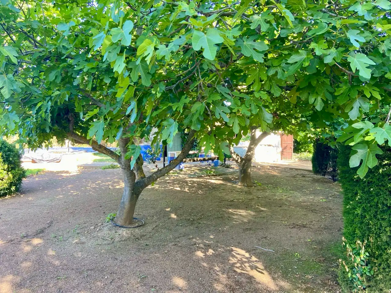 Jardín de Casa o chalet en venta en Fernán Caballero con Aire acondicionado, Jardín privado y Trastero