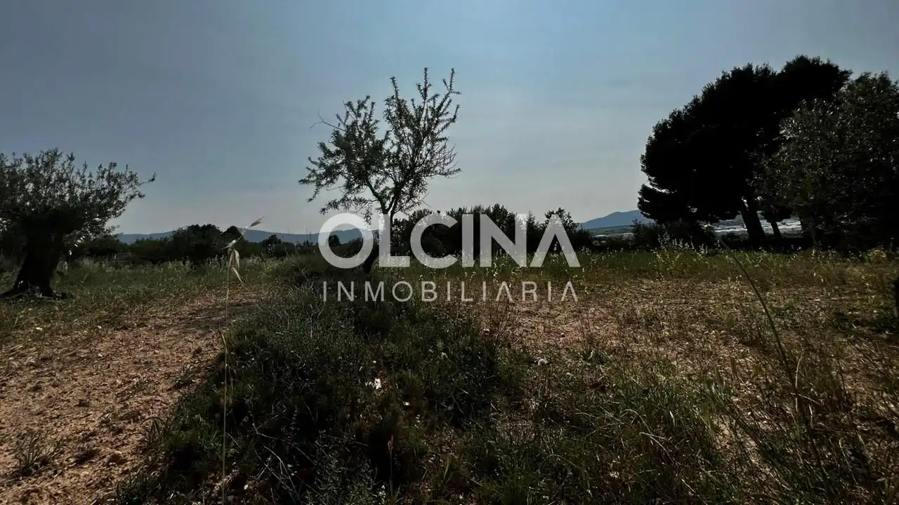 Terreno rústico en venta en Ibi, imagen 10
