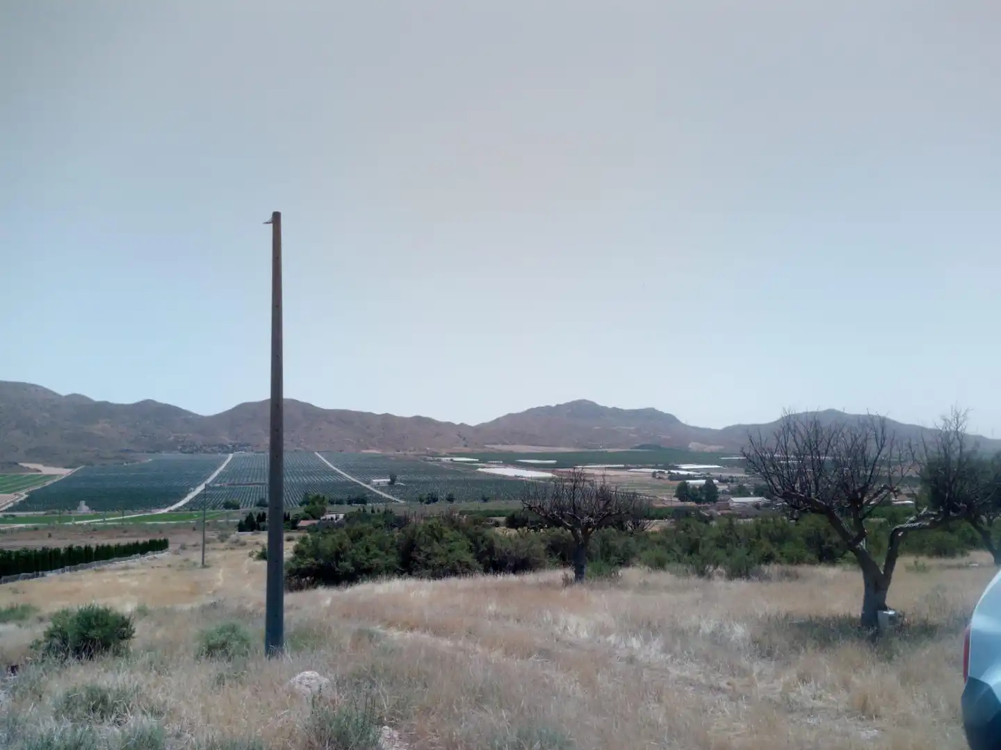 Terreno en venta en Almendricos