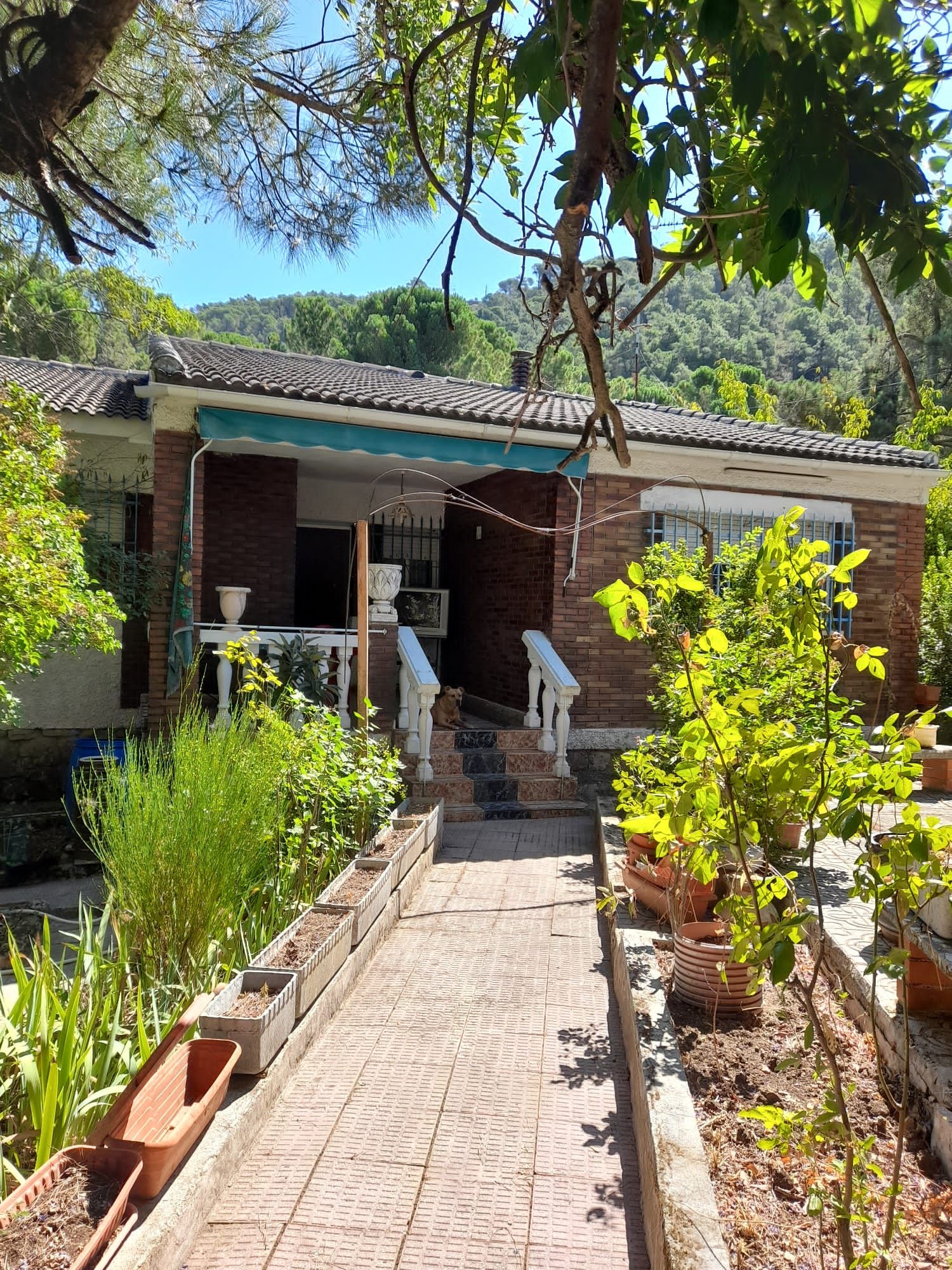 Exterior view of House or chalet for sale in Cadalso de los Vidrios  with Private garden, Terrace and Swimming Pool
