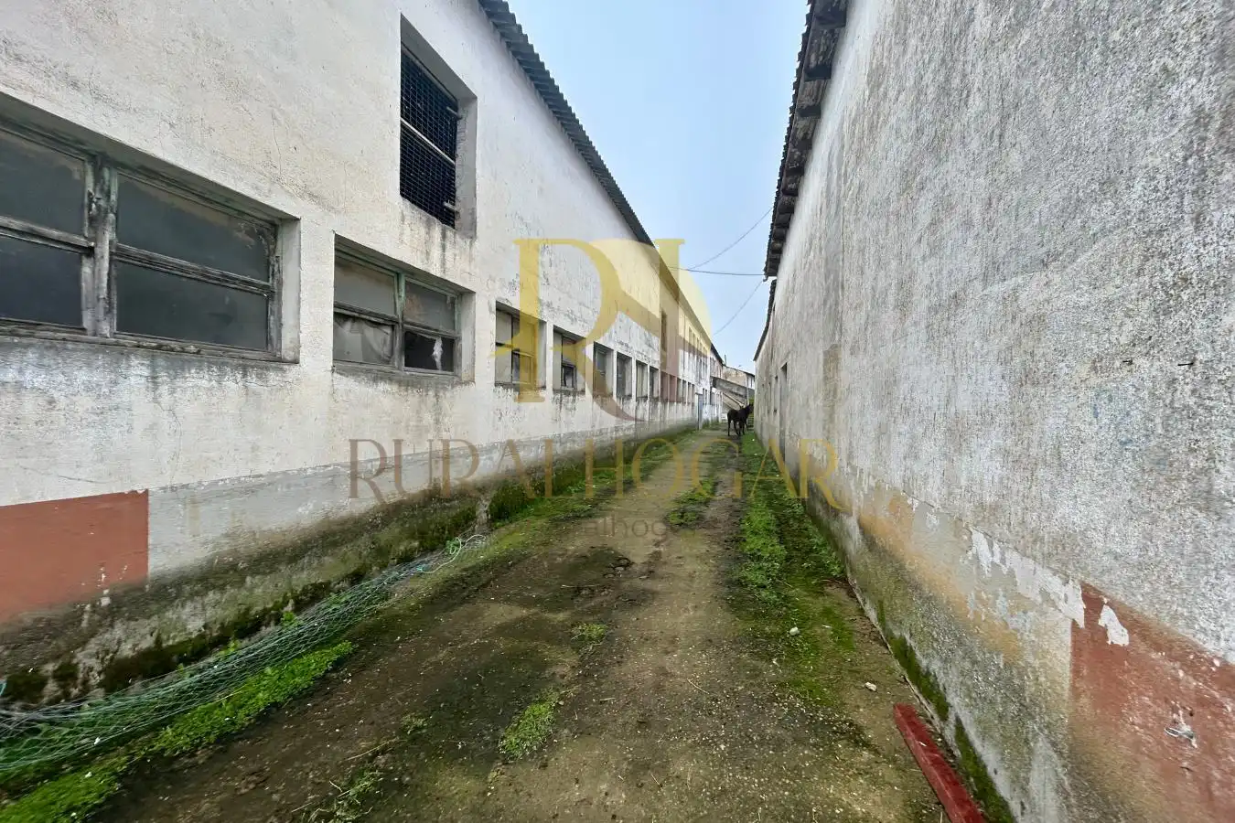 Exterior view of Houses for sale in Santas Martas  with Heating, Private garden and Terrace