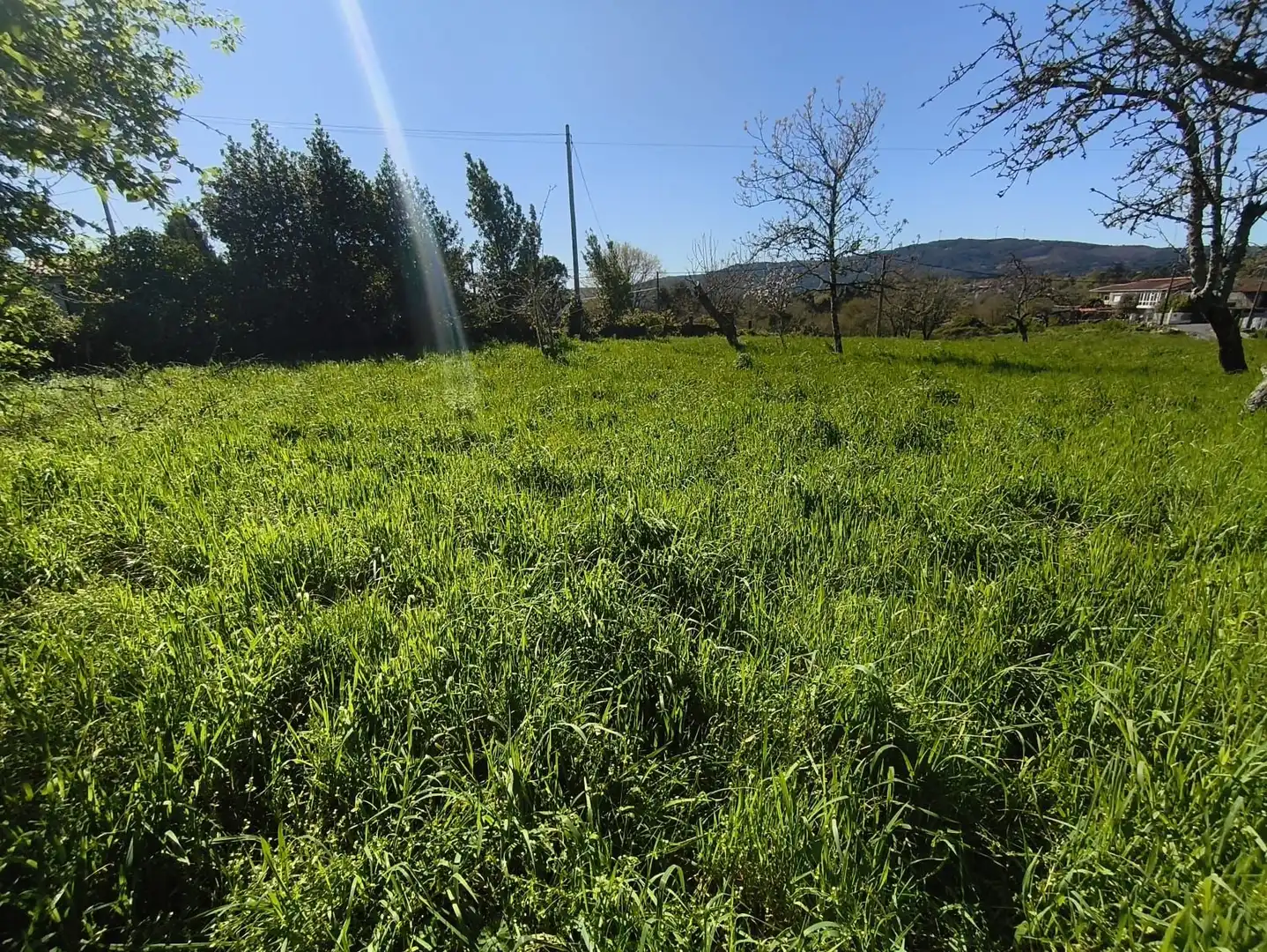 Casa o xalet en venda en Piñor