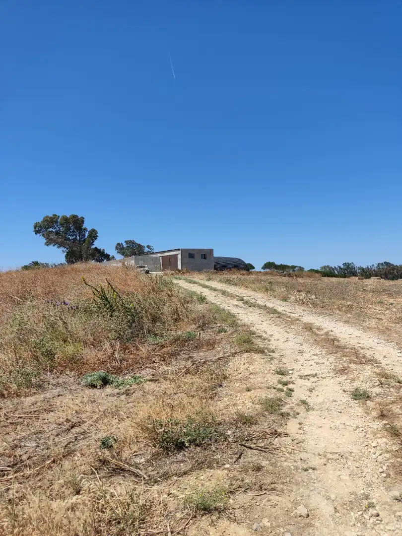 Country homes for rent in Medina Sidonia