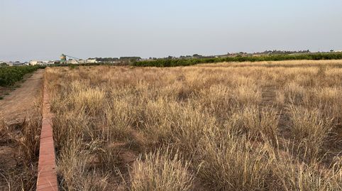 Foto 5 de Residencial en venta en Rafelbuñol-rafelbunyol - , Pobla de Farnals, La Pobla de Farnals