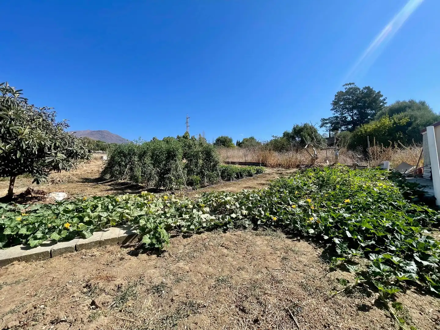 Finca rústica en venda a poligono, 14, Valle Romano Golf