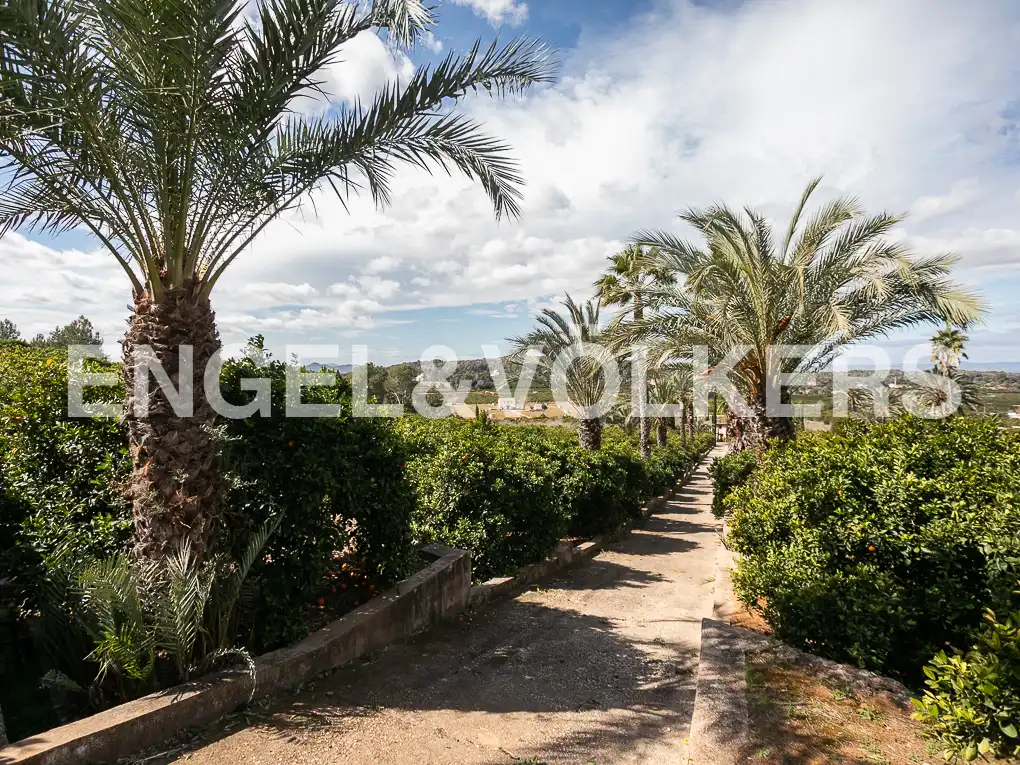 Vista exterior de Casa o xalet en venda en Carcaixent amb Calefacció, Jardí privat i Terrassa