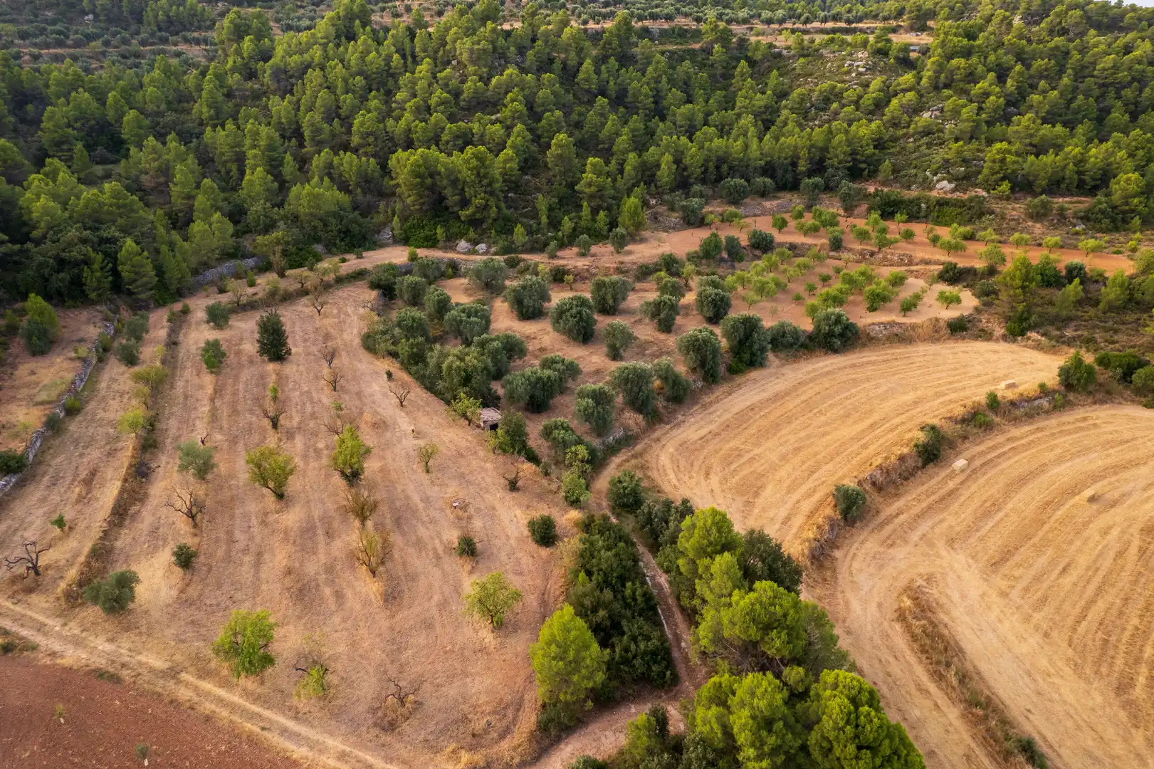 Rural land for sale in Lledó, imagen 22
