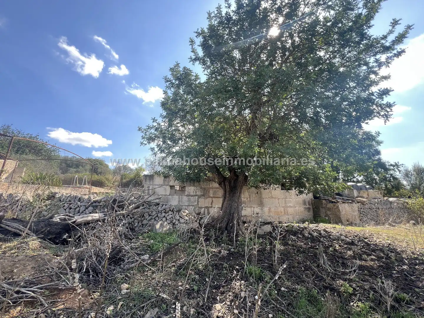 Grundstücke und Bauplätze zum Verkauf in Llubí, imagen 11