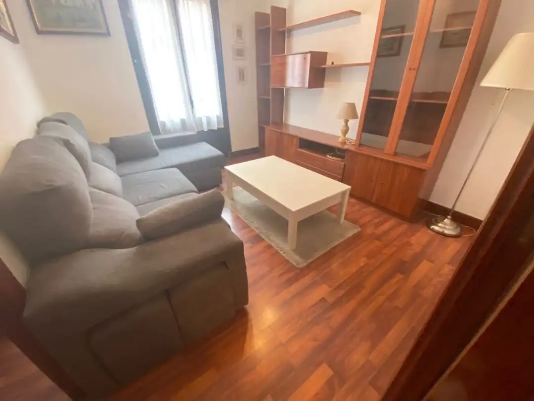 Sala d'estar de Pis de lloguer en Bilbao  amb Calefacció i Balcó