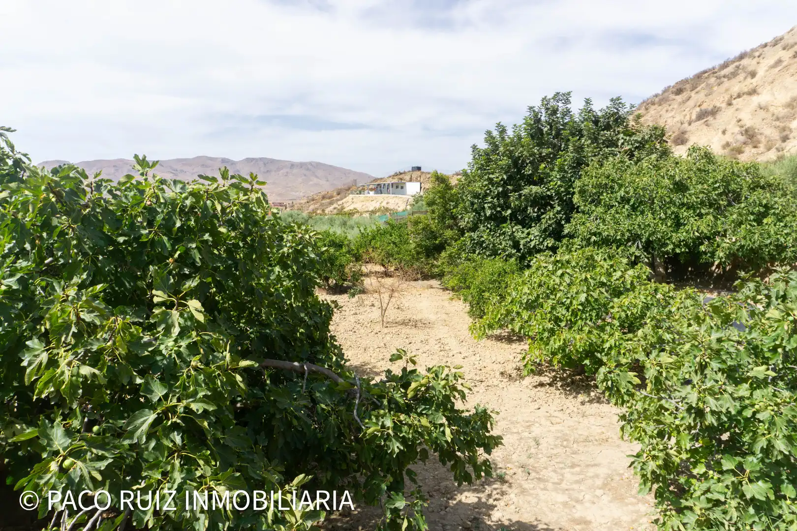 Terreno rustico in vendita a Rioja