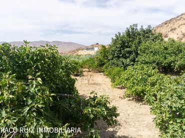 Terreny rústic en venda a Rioja