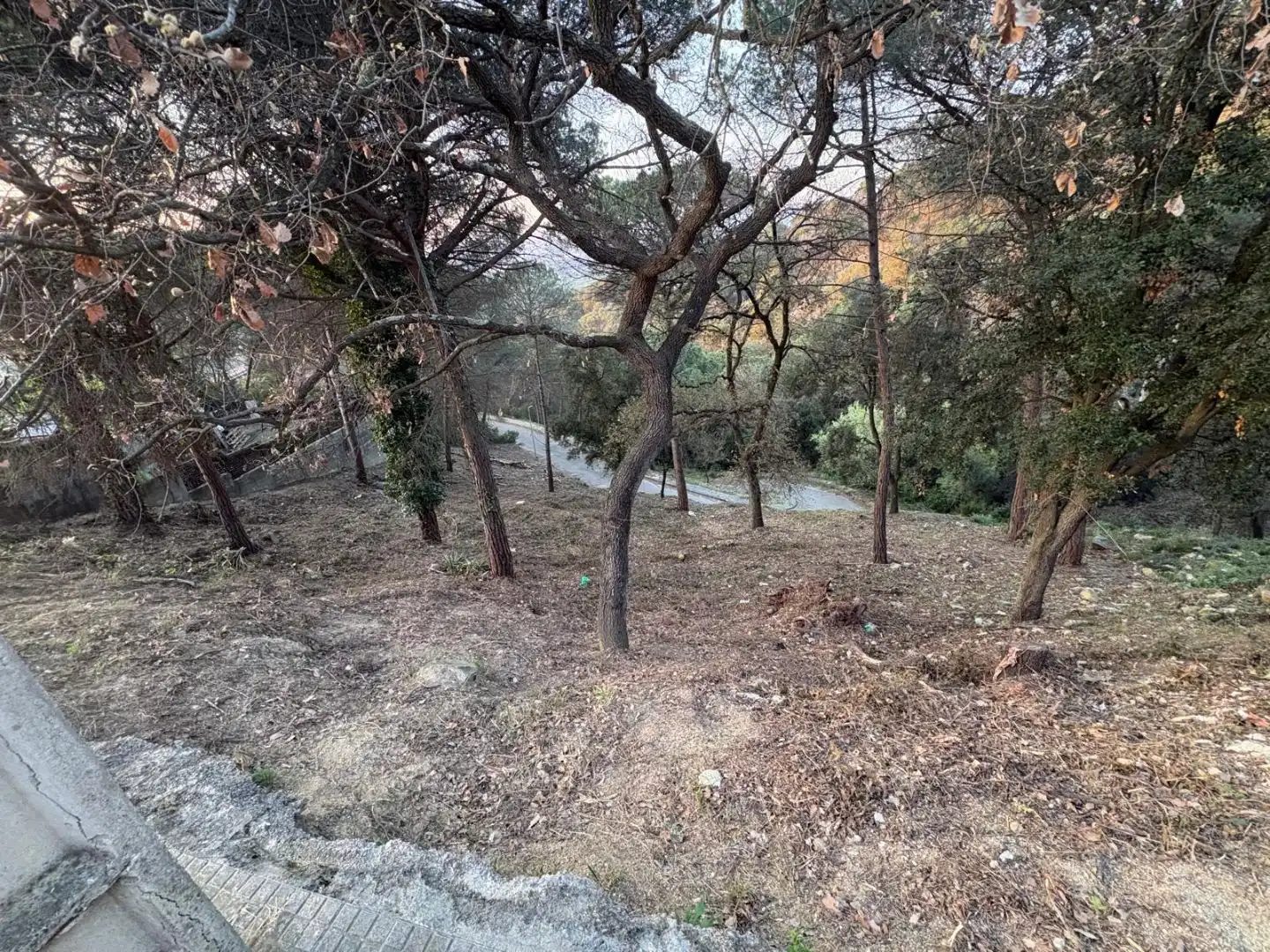 Terreno residencial en venta en Carrer de la Mola 2, imagen 3