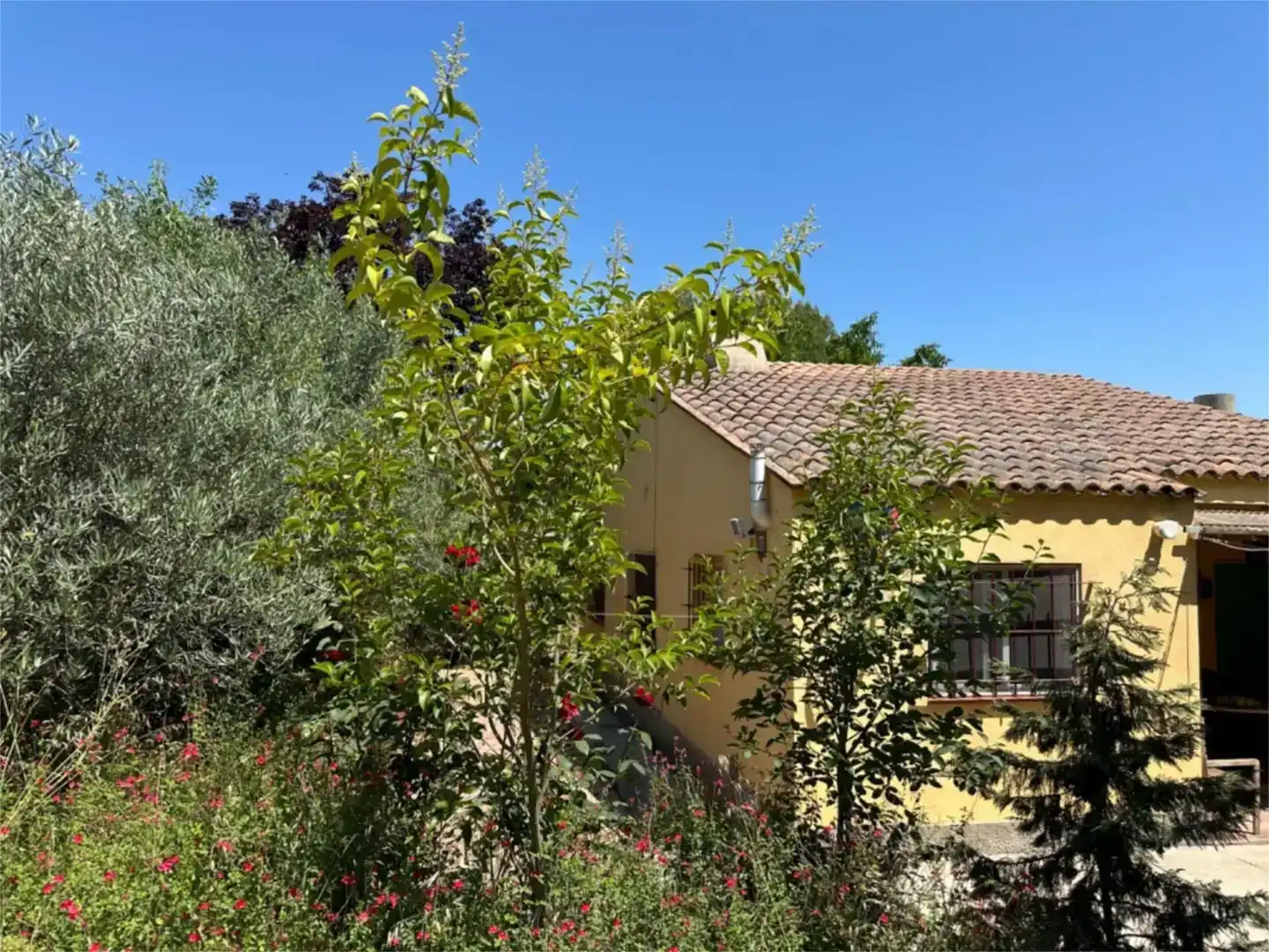 Jardí de Finca rústica en venda en  Lleida Capital