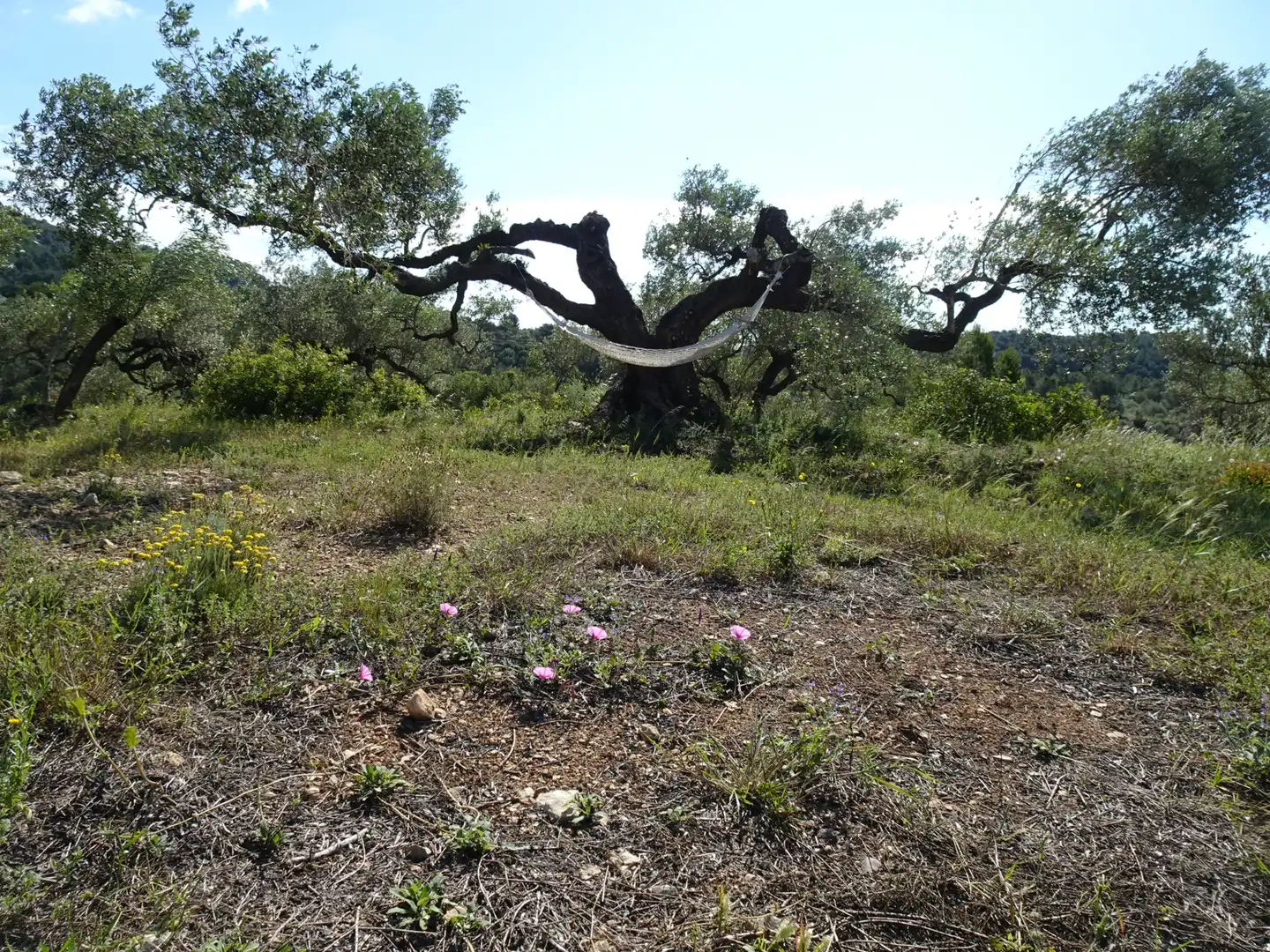 Finca rústica en venta en El Perelló