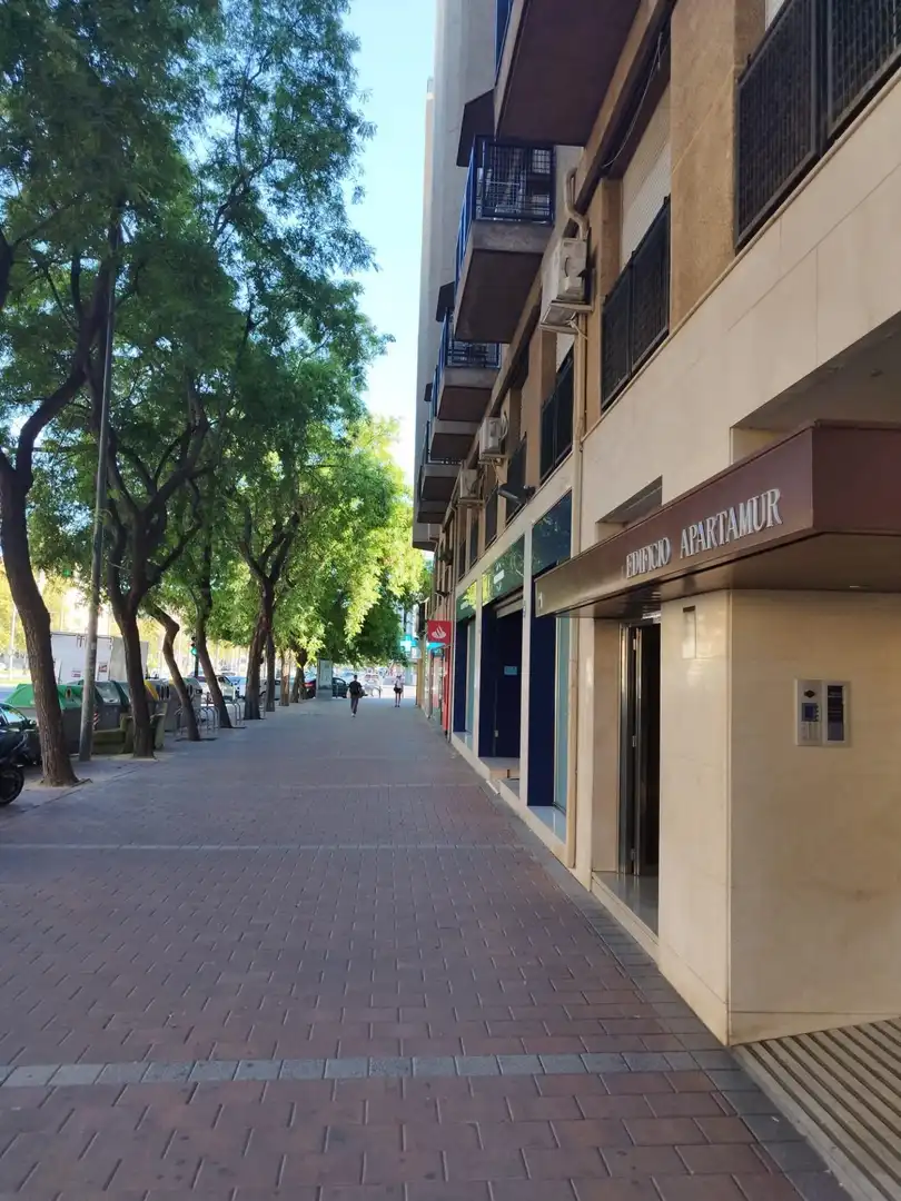 Mini appartamento con terrazza in affitto a Avenida Avenida Juan Carlos I, imagen 40