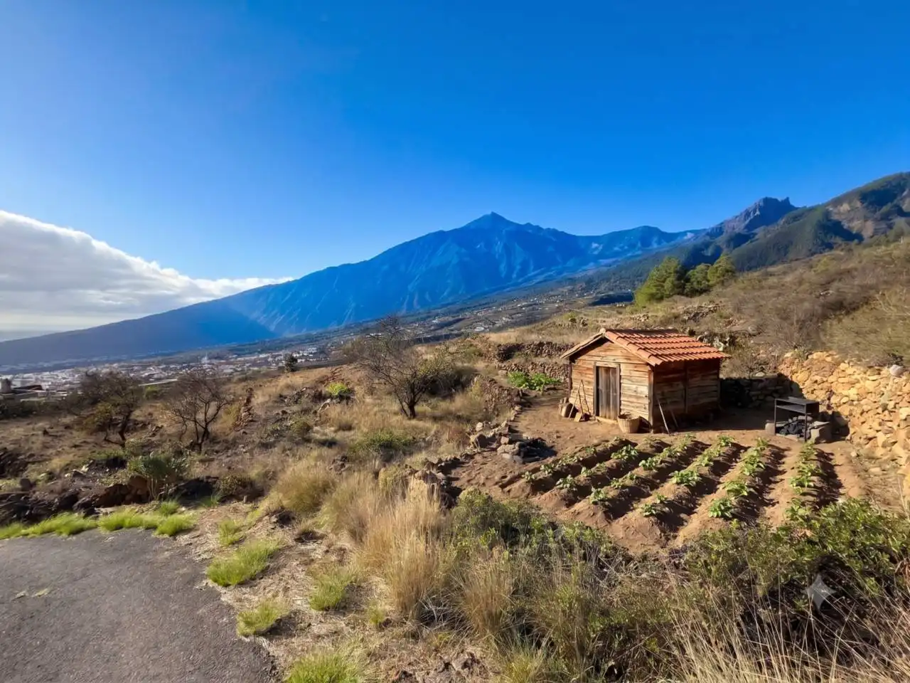 Rural land for sale in Camino Montesinas