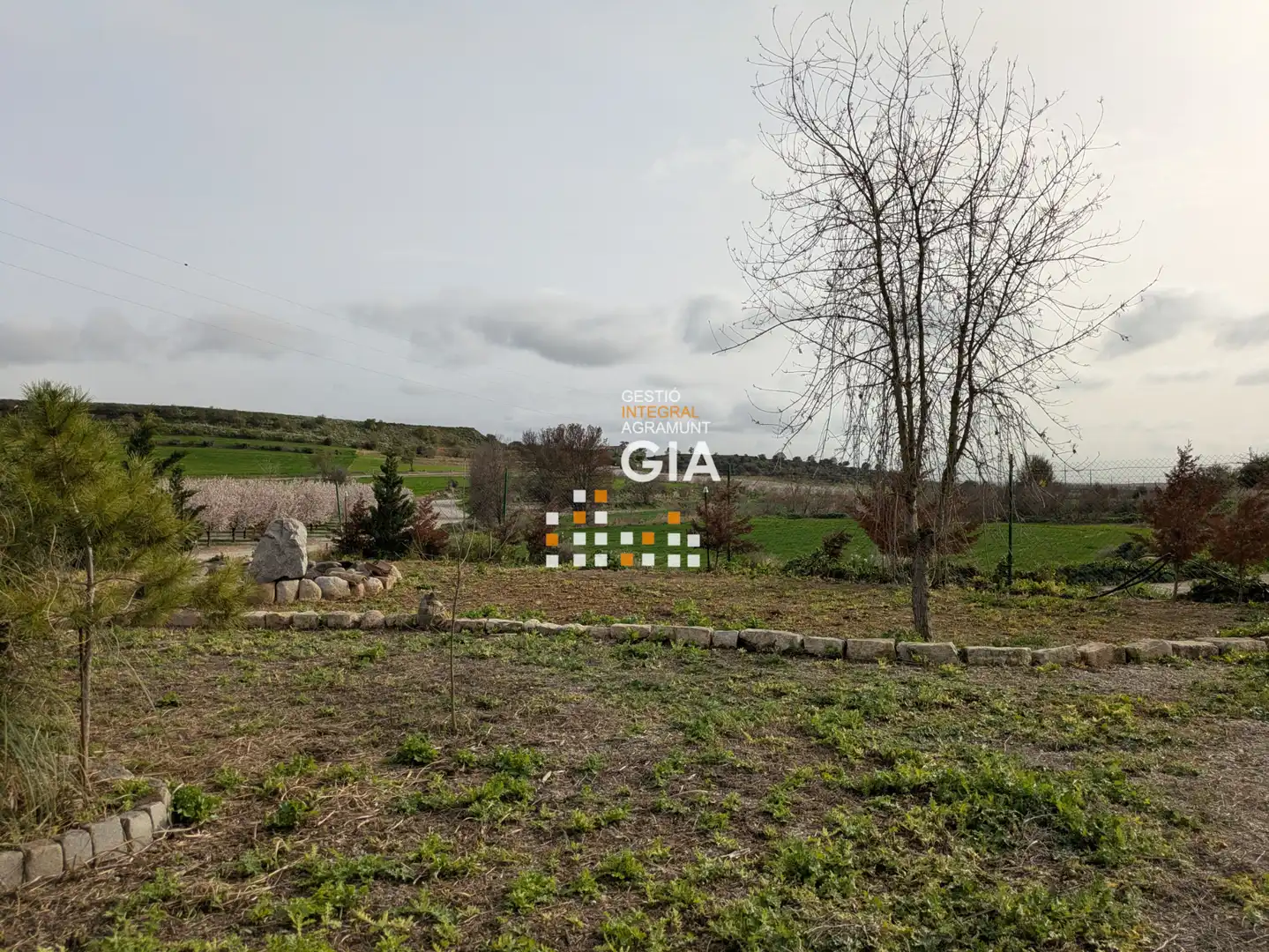Casa o chalet en venta en Tàrrega con Jardín privado, Terraza y Trastero