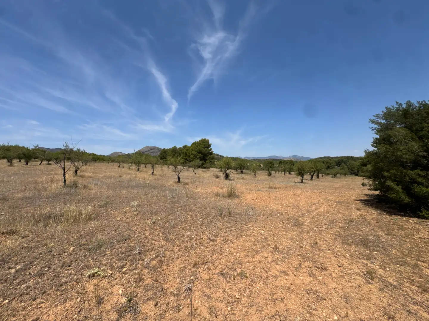Rural land for sale in N/A, imagen 48