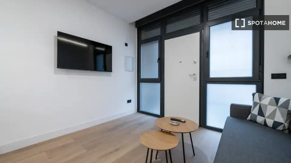 Sala de estar de Piso de alquiler en Madrid con Aire acondicionado, Calefacción y Amueblado