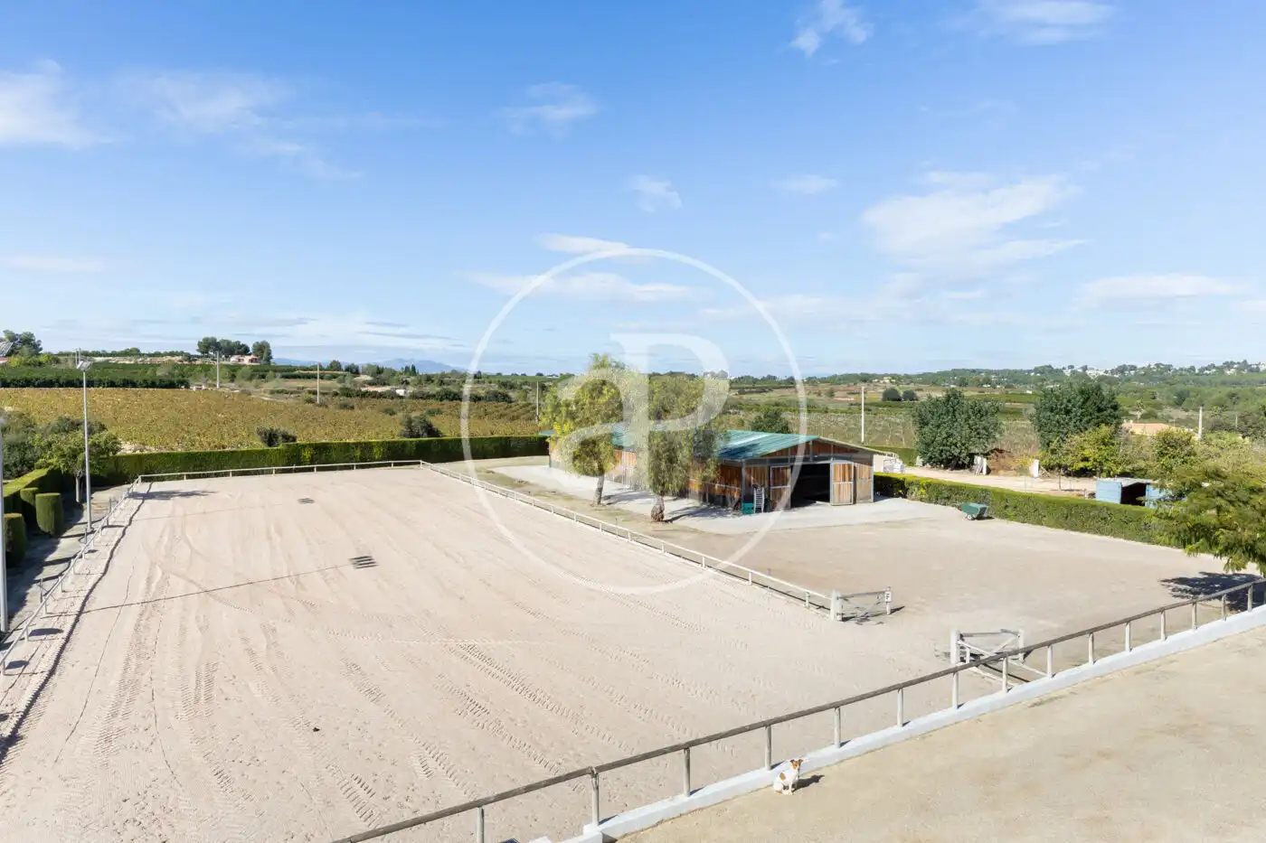 Vista exterior de Finca rústica en venta en Torrent con Aire acondicionado, Calefacción y Jardín privado
