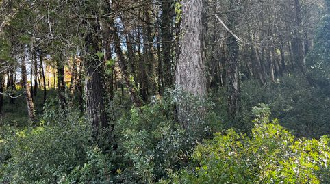 Foto 3 de Residencial en venta en Carrer Sant Sever, Olesa de Bonesvalls, Barcelona