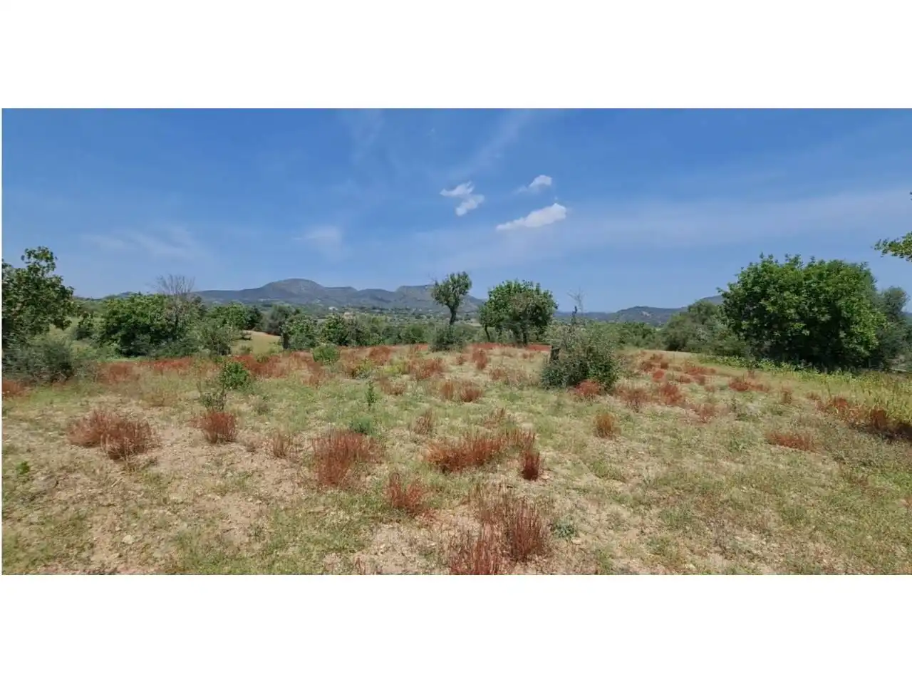 Rural land for sale in Poligono 5 723, imagen 35