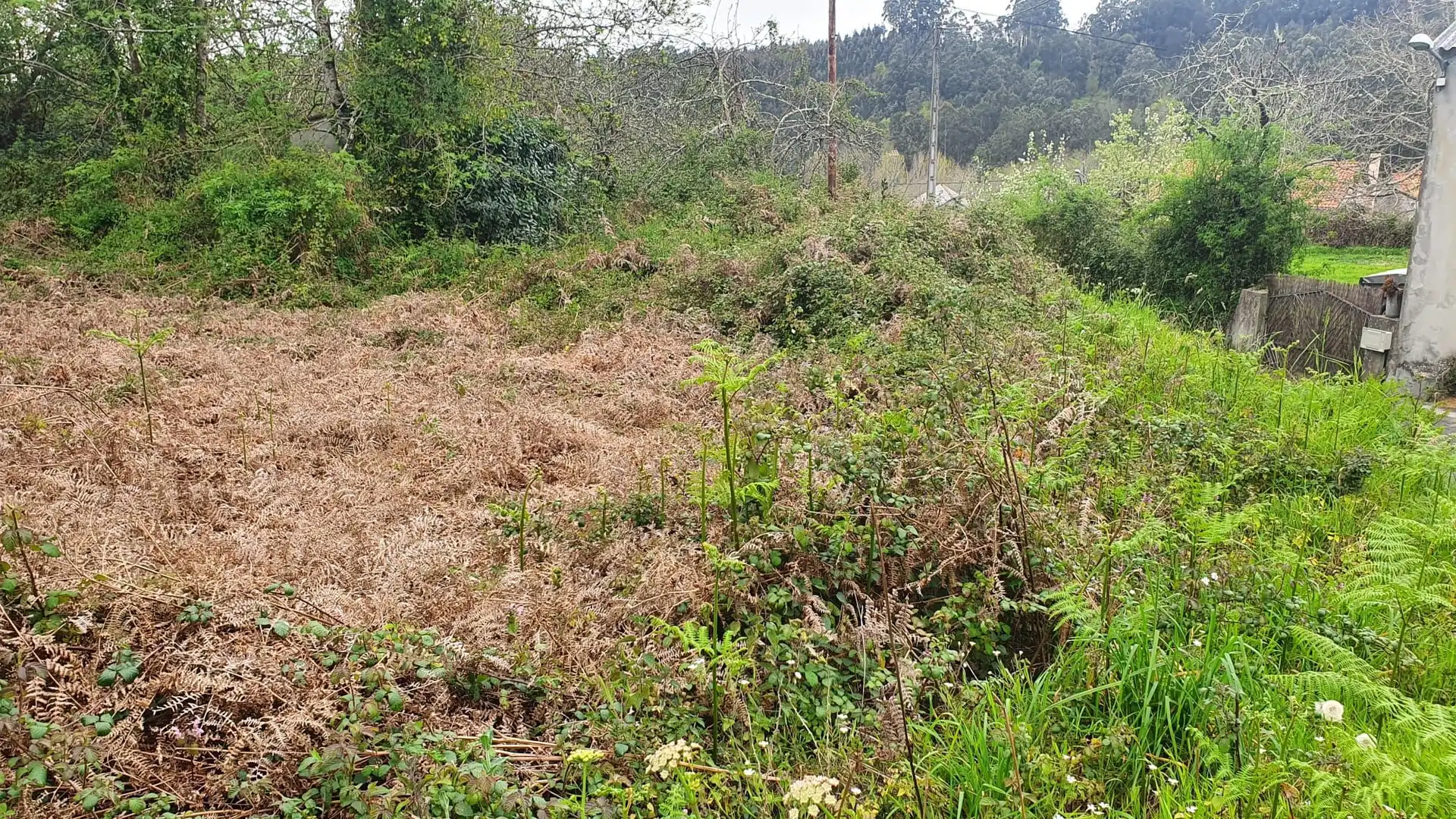 Wohnbaugrundstück zum Verkauf in Vilarmaior, imagen 11