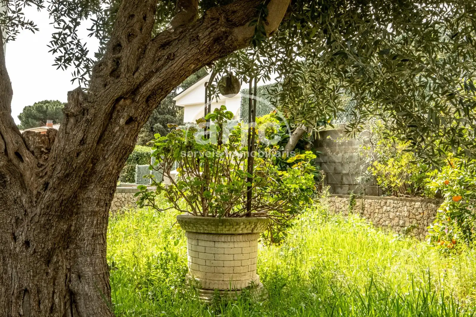 Jardín de Casa o chalet en venta en Arenys de Mar con Calefacción, Jardín privado y Terraza