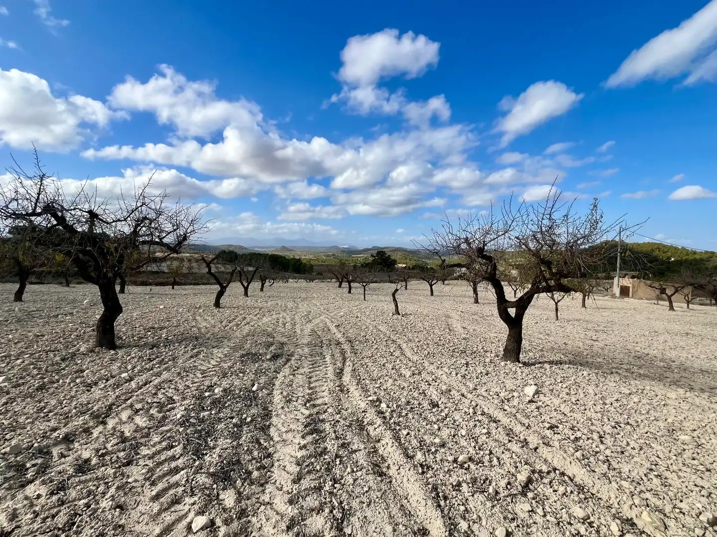 Lands and plots for sale in Bullas, imagen 19