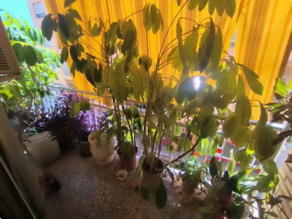 Flat with terrace for sale in Centro Ciudad, imagen 27