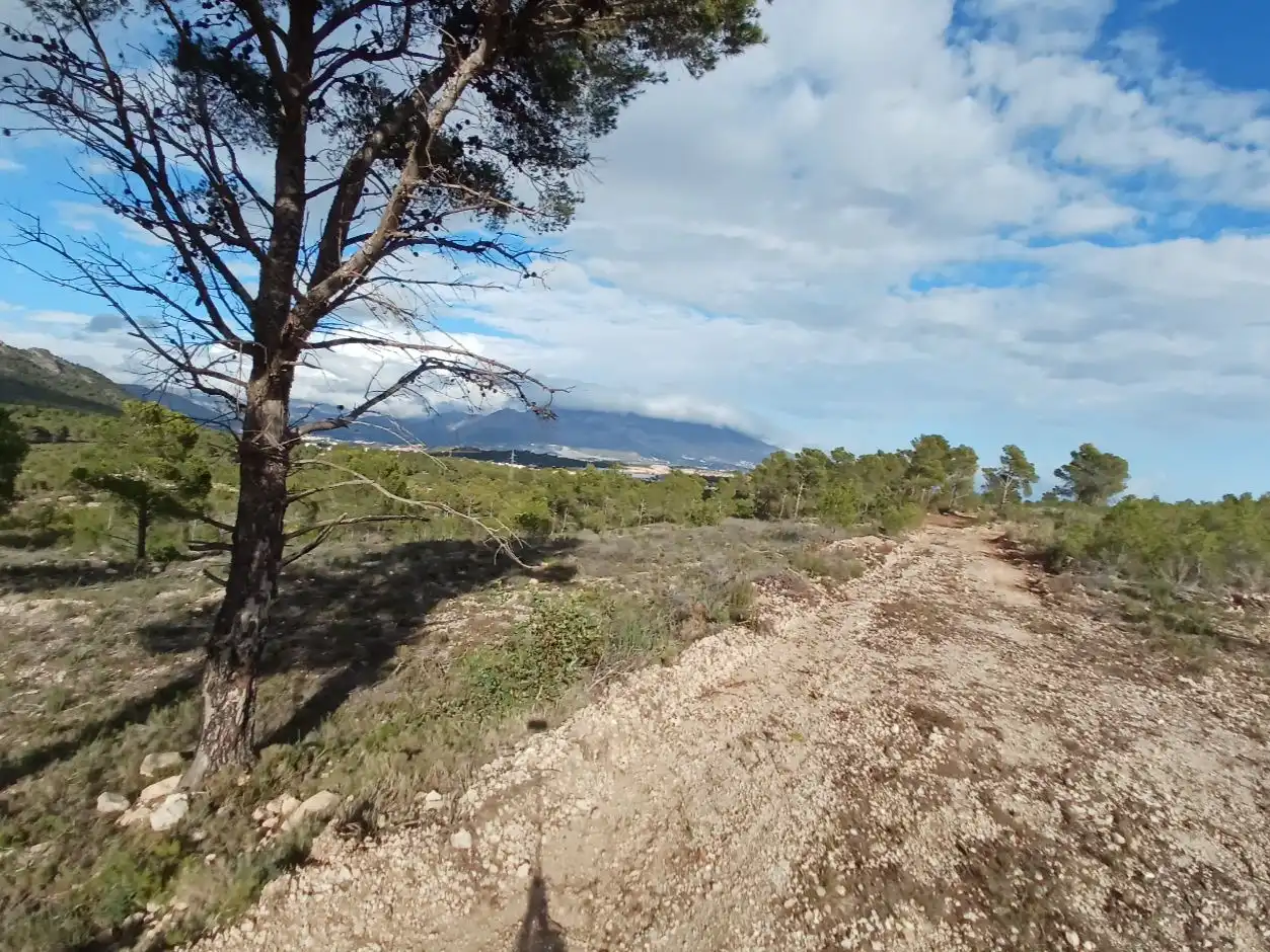 Terrain rustique à vendre à Avinguda el Copet 1, imagen 5