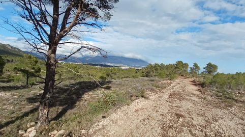 ¡Buena oportunidad! Terreno rustico, imatge 5