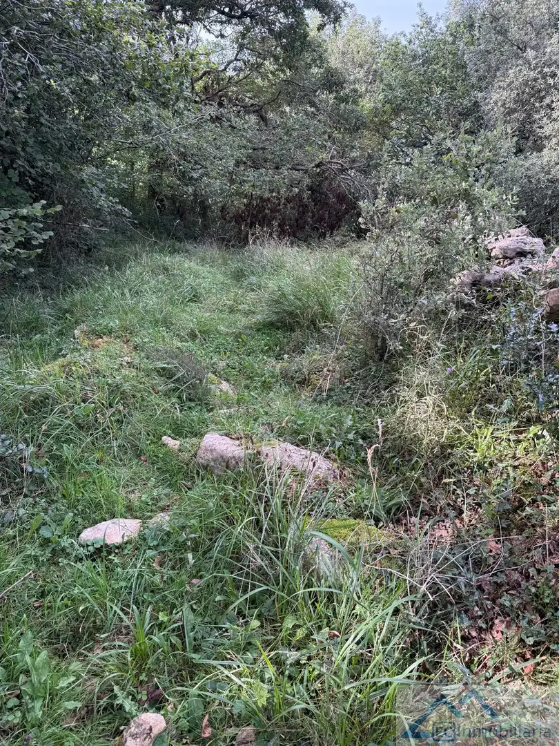 Casa o xalet en venda en Entrambasaguas
