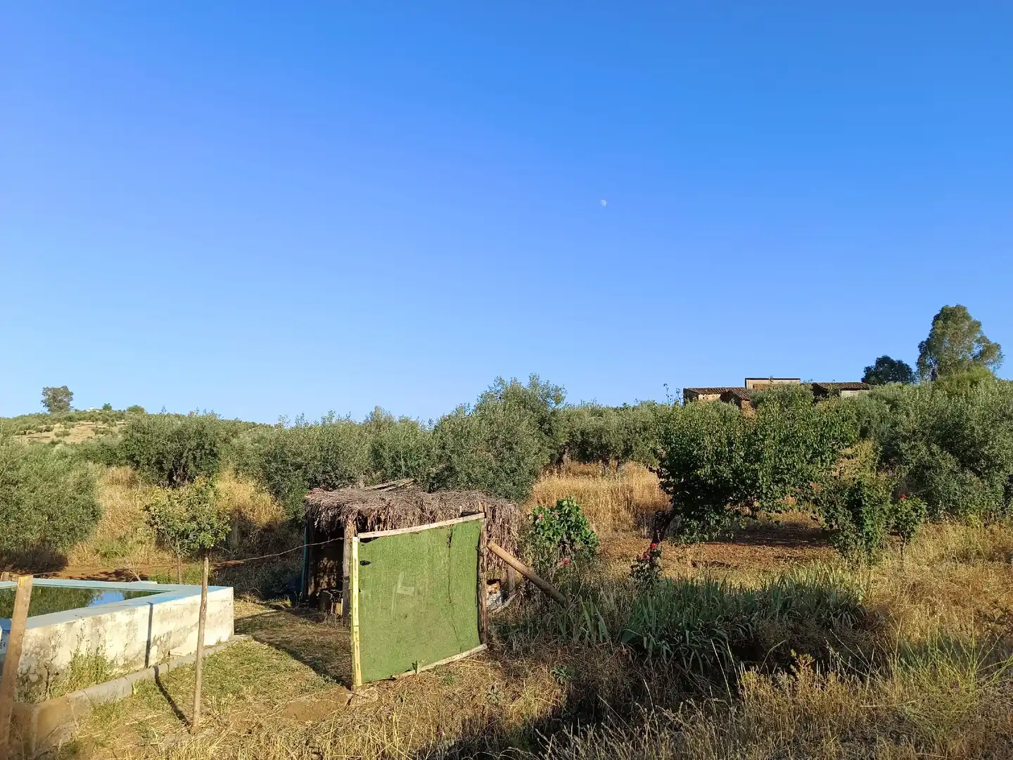 Residencial en venta en Montemolín