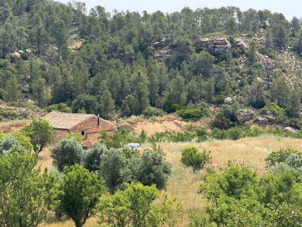 Land for sale in Mazaleón