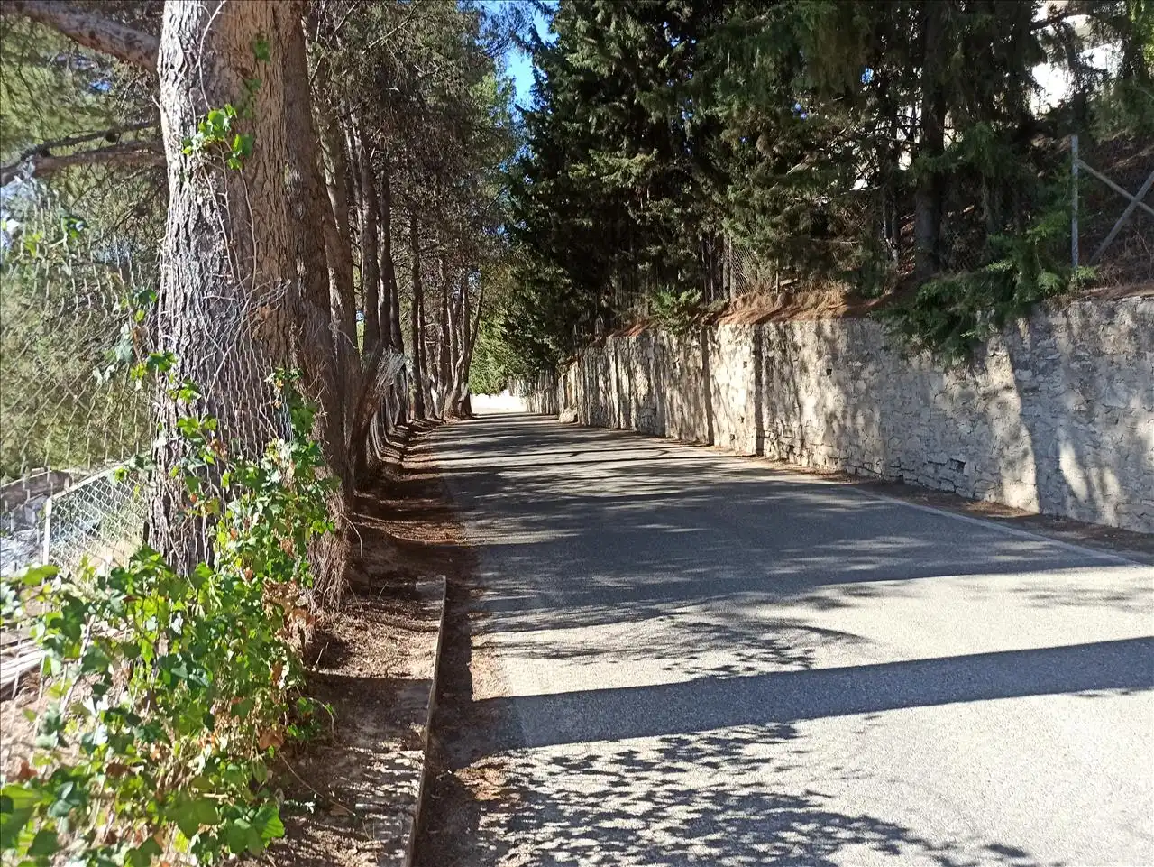 Terreni e lotti in vendita a De La Sierra, imagen 4