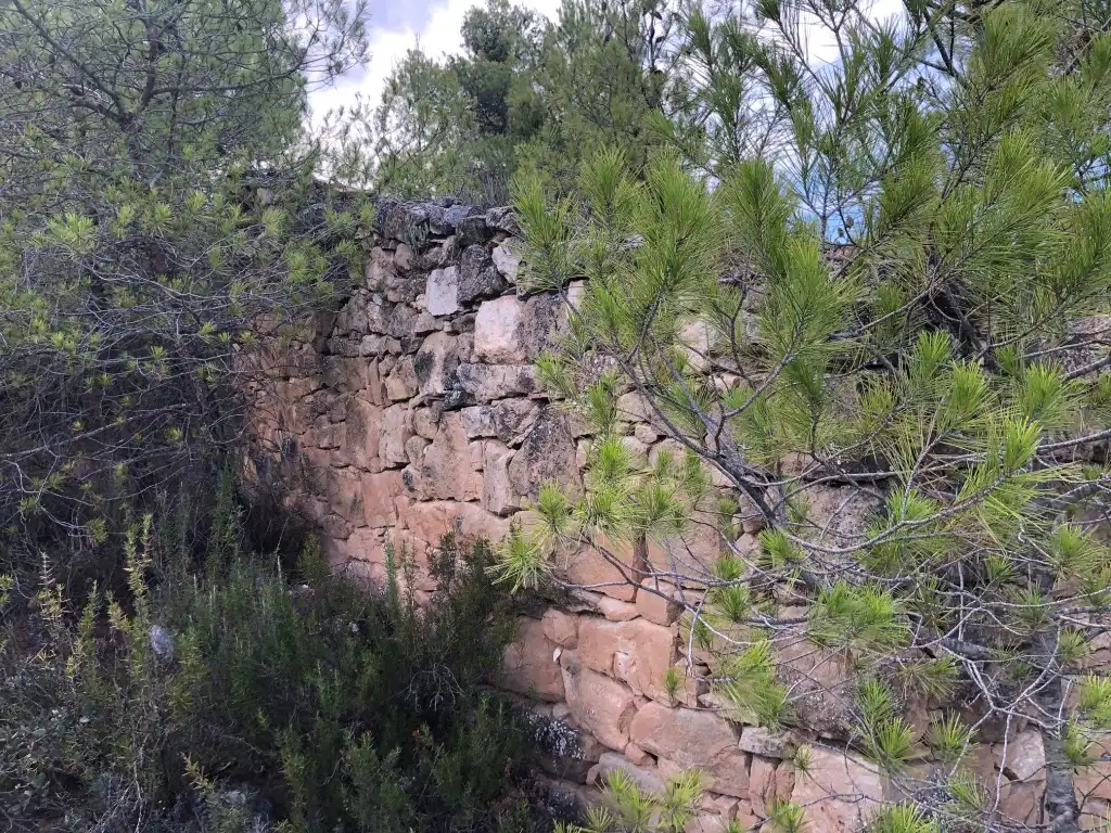 Terreni e lotti in vendita a Valderrobres, imagen 22