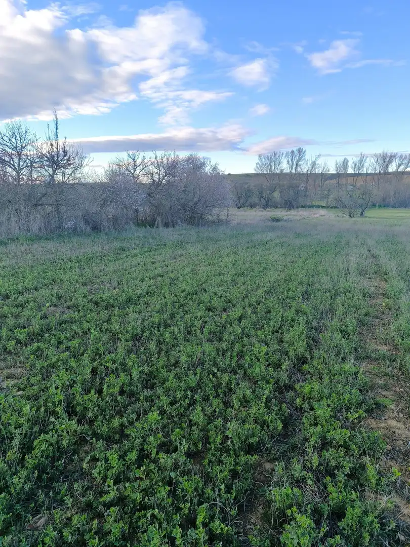Terreno en venta en Pajares de los Oteros