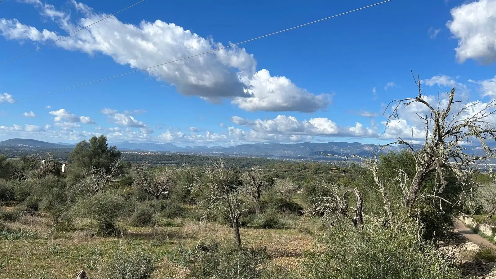 Terreno rustico in vendita a Camino Camí des Rafalet, imagen 4